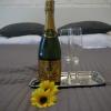 Apartamenty Viniarnia