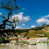 Rua António, Manuel Saraiva, 5085-034, Pinhão, Douro, Portugal.