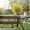 Ferienwohnung im Univiertel mit Garten
