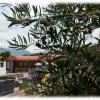 Hostal- Restaurante Estación Vía Verde