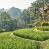 Sayan, Ubud, Bali 80571, Indonesia.