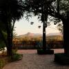 Cortijo Carrillo