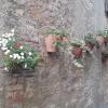 Appartamento Clementini