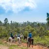 Mountain Pine Ridge Reserve, Cayo District, Belize.