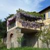 Villa I Delfini