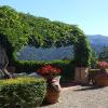 Villa I Delfini