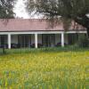 Monte das Faias Cork Farm Hotel