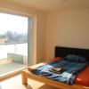 Danube Apartment with City View