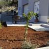 Apartments Parcela