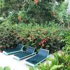 Tobago Hibiscus Golf Villas & Appartments