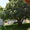 Quinta da Aurora