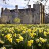 The Astor Wing, Hever Castle, Edenbridge, TN8 7NG, Kent, England.