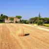 Nice farmhouse in Asciano with shared pool