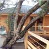 Albaria Lodge