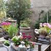 Chez Caro