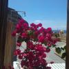 Apartamentos Martell