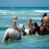 Half Moon PO, Montego Bay, Jamaica.