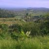 Pondok Alam Bukit