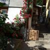 Diana Guesthouse