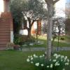 Alle Grazie