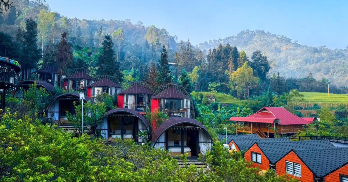 Plum Hillside Lodge, Dồng Văn (updated prices 2026)