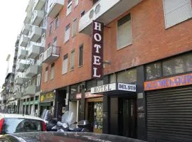 德尔苏德酒店
