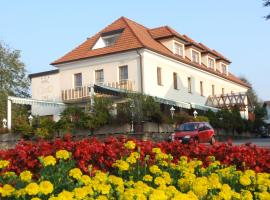 A picture of the hotel: Hotel Geier