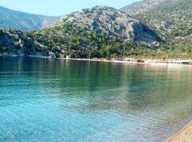 Ξενοδοχείο φωτογραφία: Beachfront self-catering studios in Psatha Bay - 60km from Athens