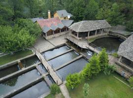 Farma Sotira, hotel in Leskovik
