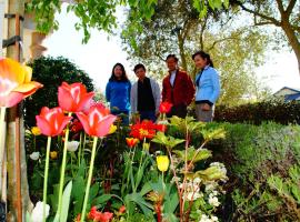 Hotel fotoğraf: Olive House Bed and Breakfast