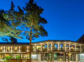 Hotel Pušų paunksnėje, hôtel à Palanga