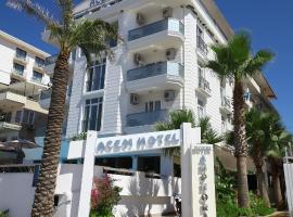A picture of the hotel: Acem Hotel