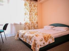 Hotel Silva, Hotel in Vatra Dornei