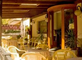 Hotel Viola