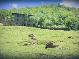 Hotel Photo: La Grecchia