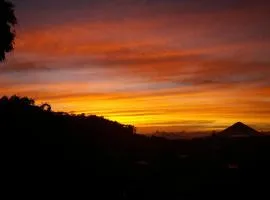 Bajawa-Roo Hotel