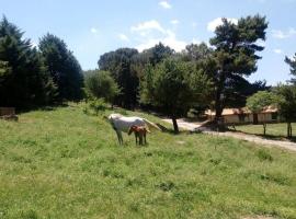 Foto di Hotel: Agriturismo Bosco Pianetti