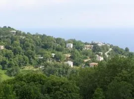 Hotel Tsagarada 
