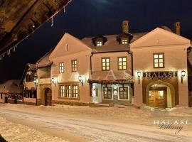 Halasi Pince Panzió, hôtel à Villány