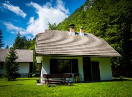 Hotel foto: Počitniška hiša Radovna