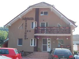 A picture of the hotel: Pensiunea Gavruta