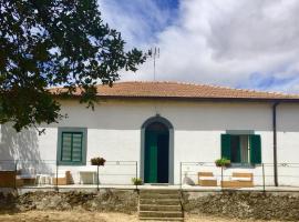 Hình ảnh khách sạn: Villa Irene Vagliasindi - Etna