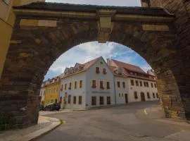 Hotel Blaue Blume, hotel in Freiberg