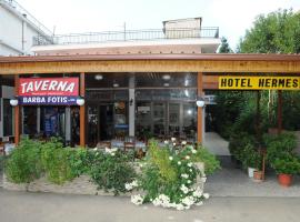 Hotel Hermes, hotel in Olympia