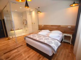 Hotel Europa, ξενοδοχείο σε Baia Mare