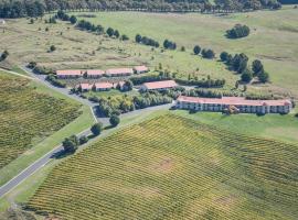 A picture of the hotel: Turners Vineyard Motel