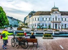 Korona Hotel
