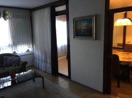 Zdjęcie hotelu: Laughing Buddha Apartment Špansko