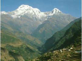 صور الفندق: Lamachaur Cottages