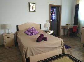 Gambaran Hotel: Studio Flat